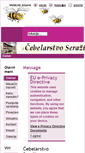 Mobile Screenshot of cebelarstvo-serazin.com